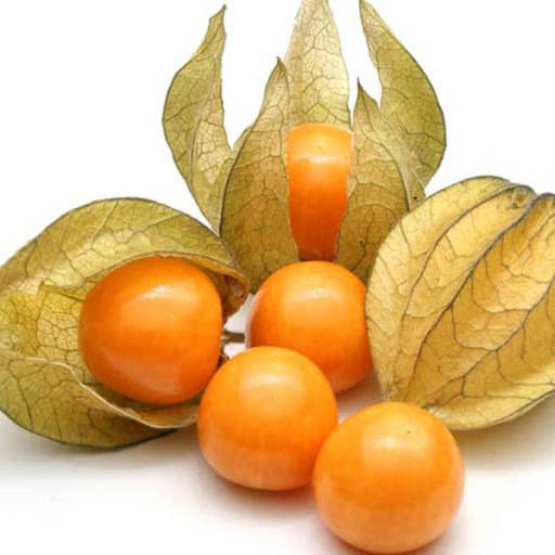 Физалис